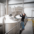 Load image into Gallery viewer, Vetra Pale, gluten-free West Coast Artisan IPA