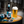 Translation missing: it.products.product.gallery_thumbnail_alt
